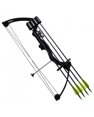 Youth compound bow with accessories and aluminum arrows